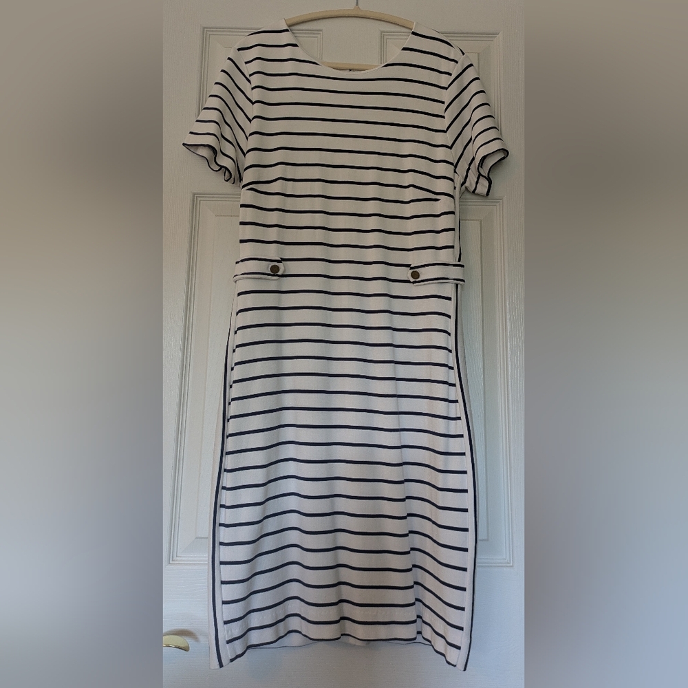 Banana Republic Navy and White Striped Dress